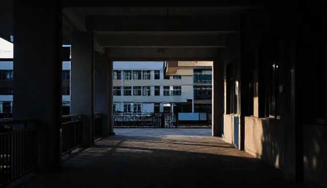 企业黄页服务如何提升信息展示效果
